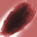 feather_red.jpg
