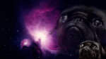 Pug+in+space+wallpaper_192d7e_4775519.png