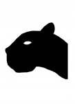 Panther 2 (2).jpg