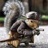 SquirrelBeard