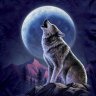 Lapua-Wolf
